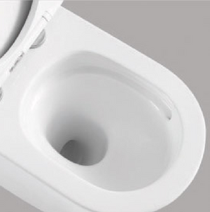 COPPIA DI SANITARI FILOMURO SERIE VORTEXIA RIMLESS CON SCARICO A TORNADO IN CERAMICA BIANCA LUCIDA PROF.56.4 CM COPRIWATER SOFT CLOSE INCLUSO